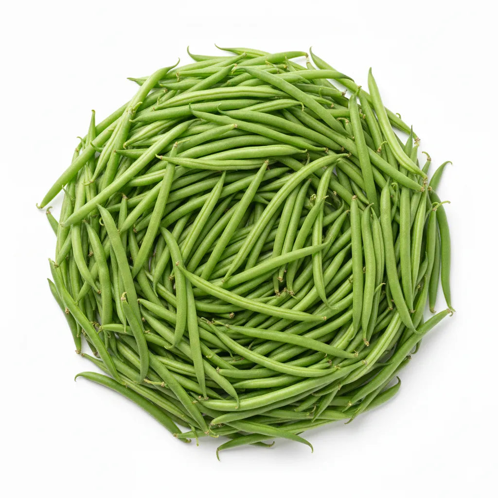 Optimized WebP image