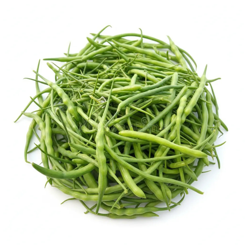 Optimized WebP image