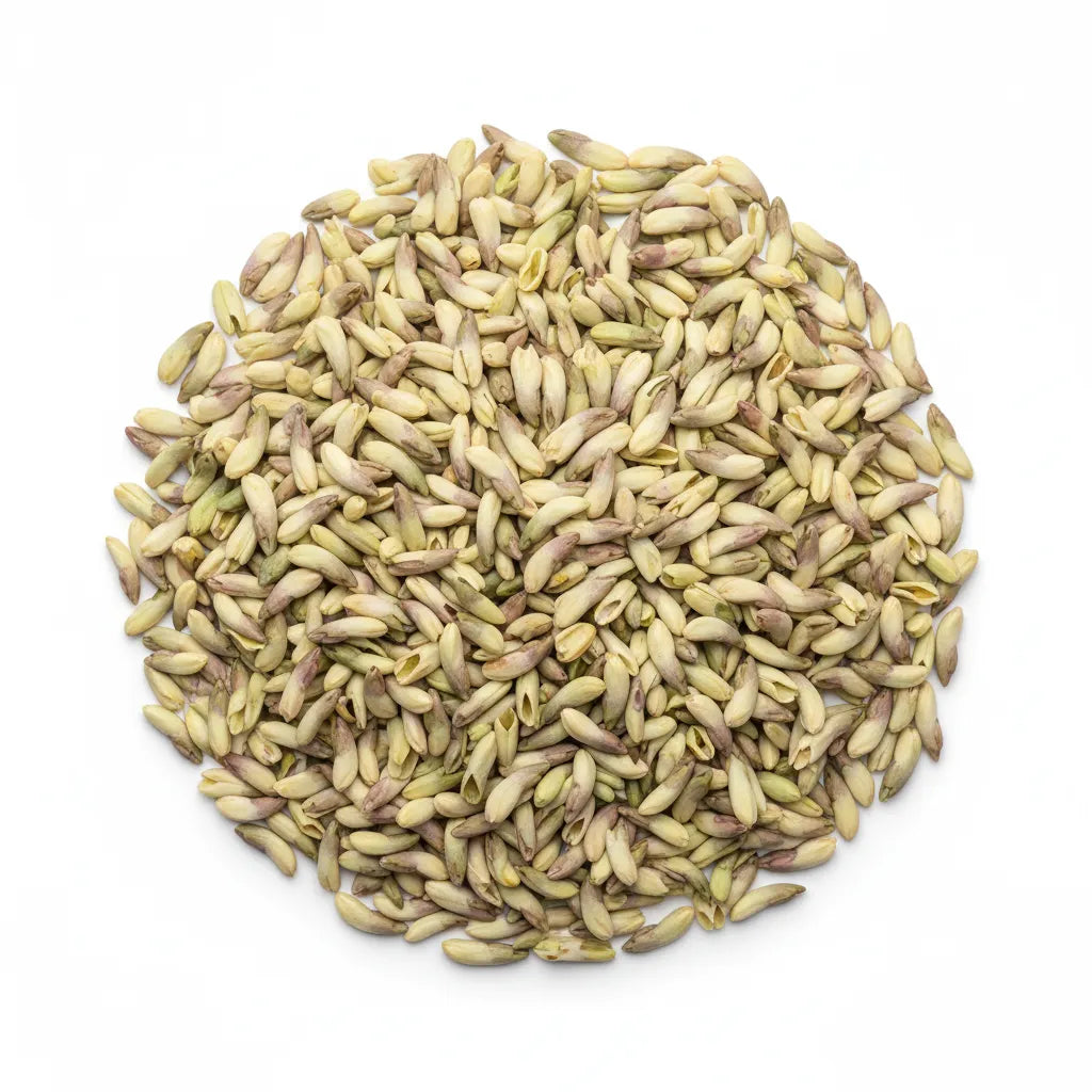 Optimized WebP image