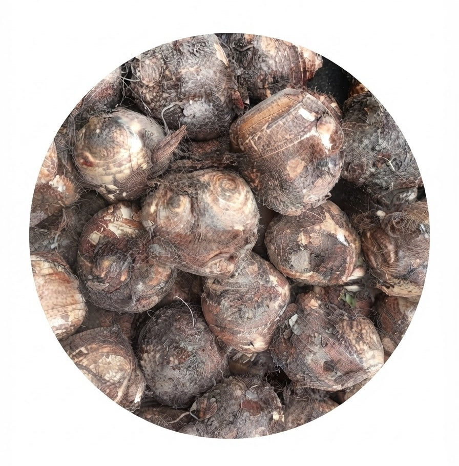(کچالو) Kachalo