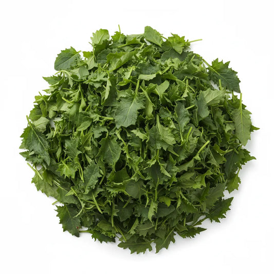 Optimized WebP image