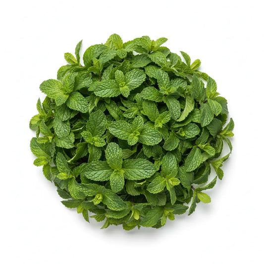 Optimized WebP image