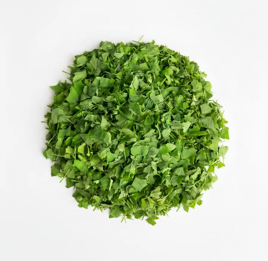 Optimized WebP image