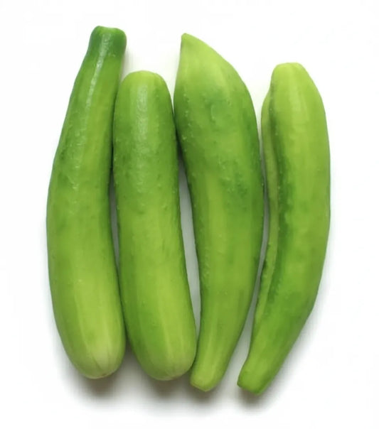 Optimized WebP image