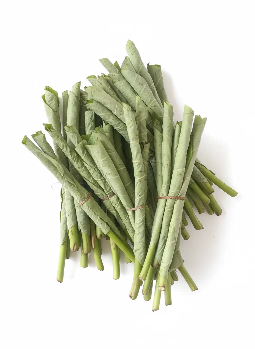 Optimized WebP image