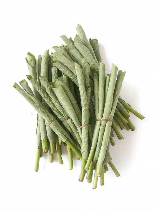 Optimized WebP image