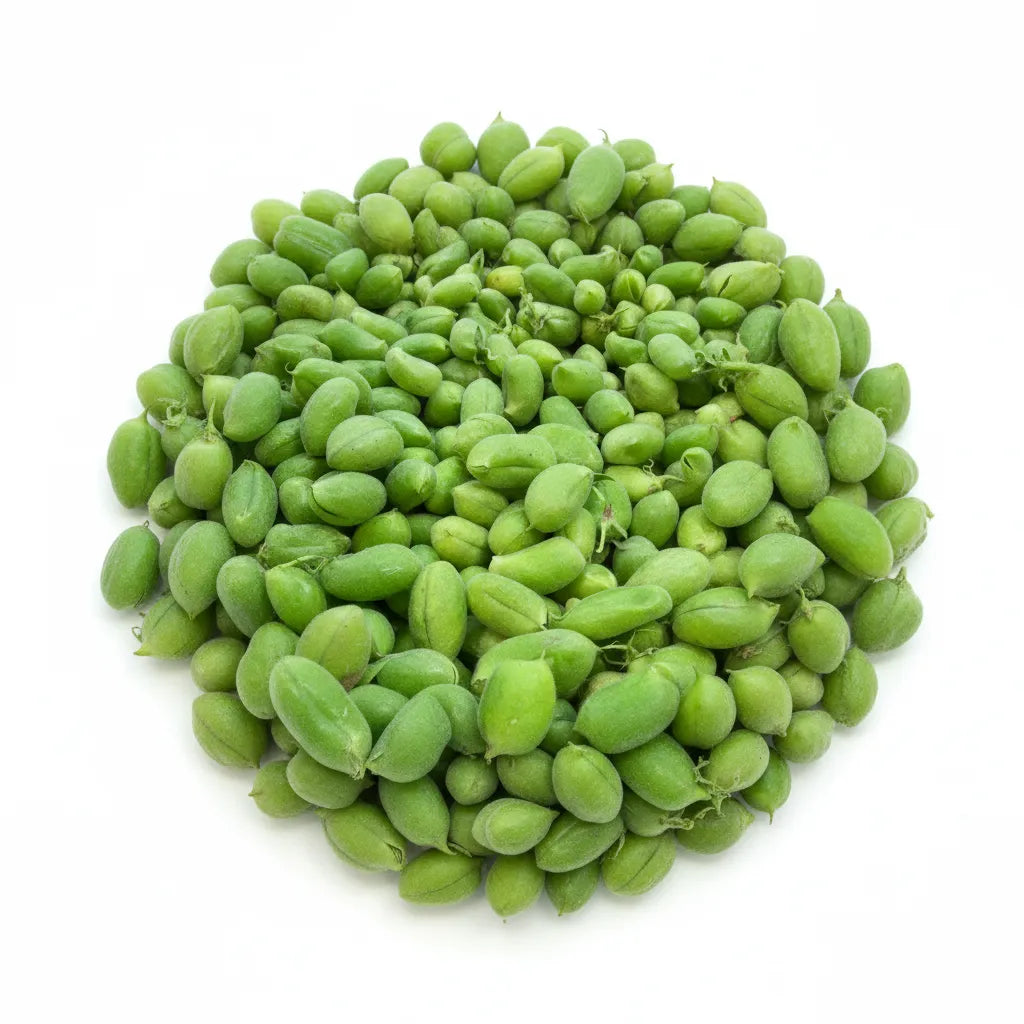 Optimized WebP image