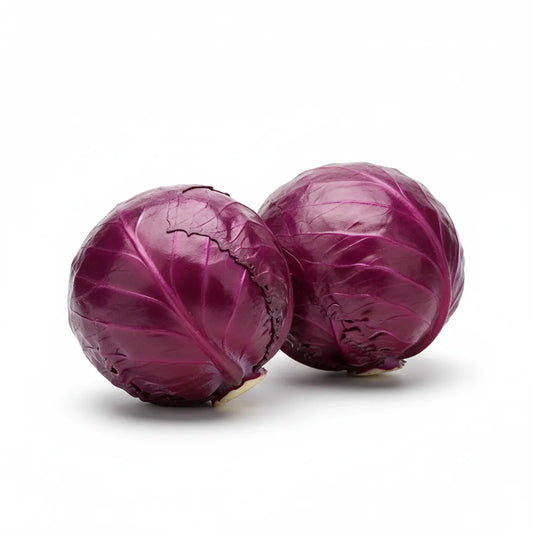 Optimized WebP image