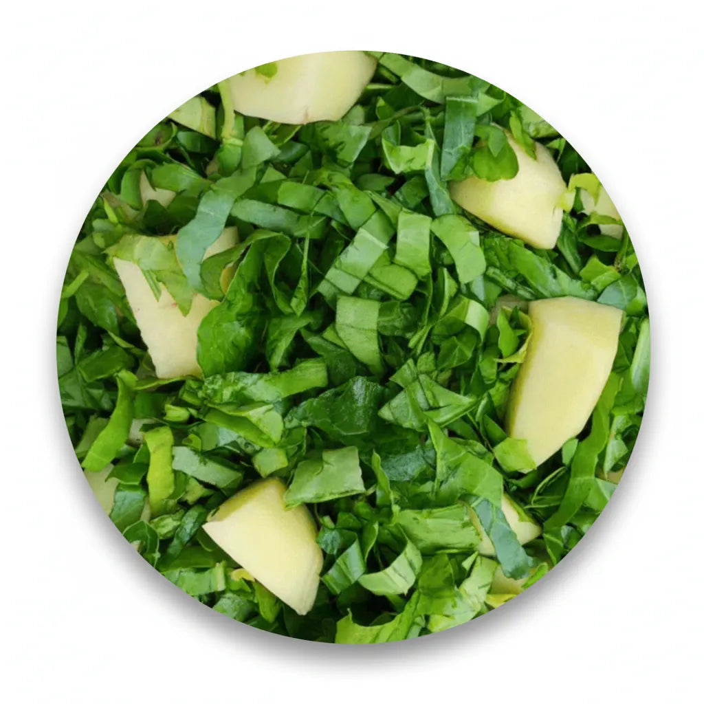 Optimized WebP image