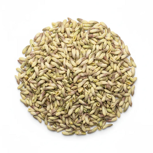 Optimized WebP image