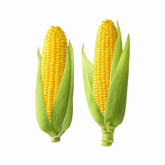 1 Corn (مکئی)