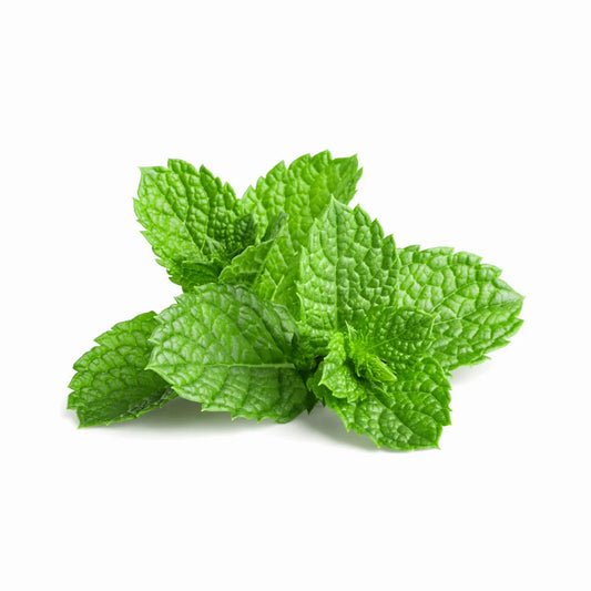 Mint (پوڈینا)