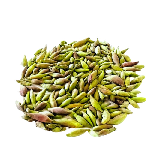 Kachnar 500g (کچنار)