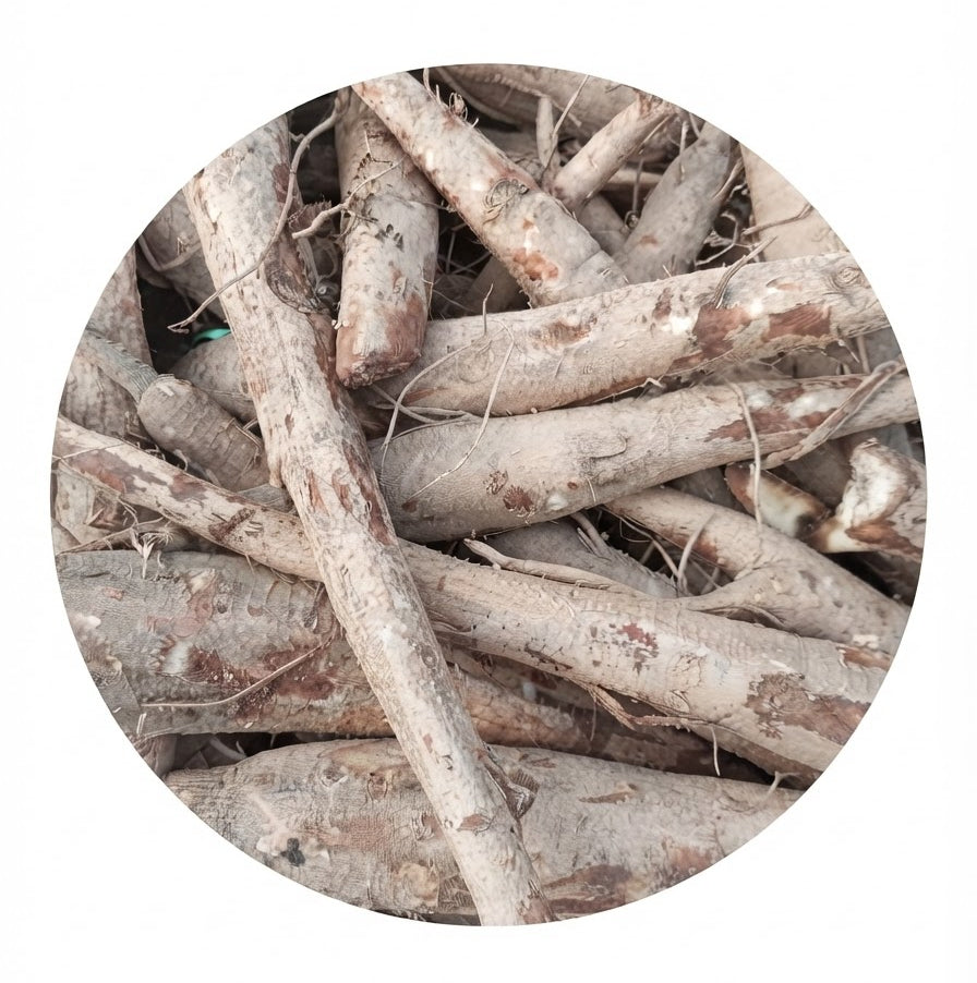 (سوانگنا کی مولی) Sawangna ki Mooli