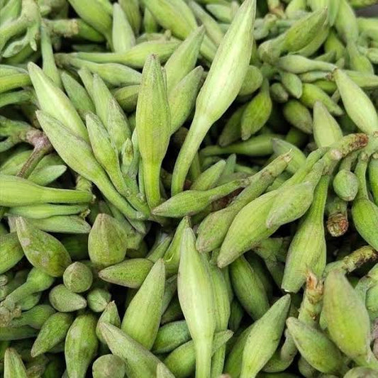 Kachnar 500gm (کچنار)