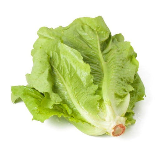 Romaine Lettuce 250gm (رومین لیٹش)