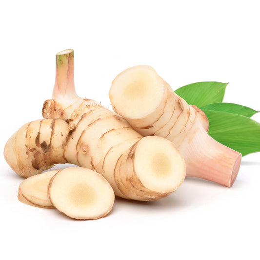 Galangal 100 gm(گالنگل)