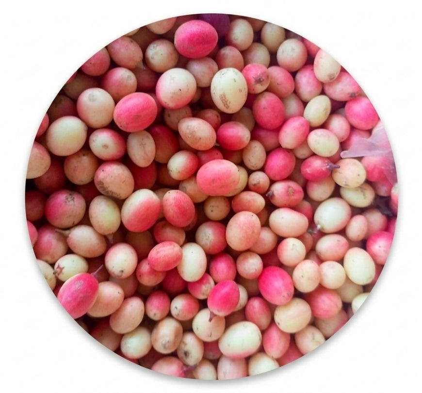 Karonda 1kg (کروندا)